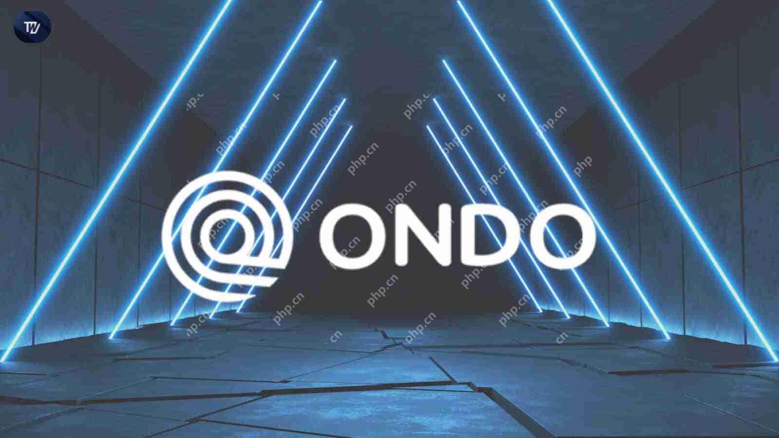 随着Ondo Finance将其桥接基础设施扩展到Solana时，RWAS成为中心舞台